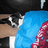 Chanelle a rejoint le concours — aidez-le/la à gagner de superbes lots !