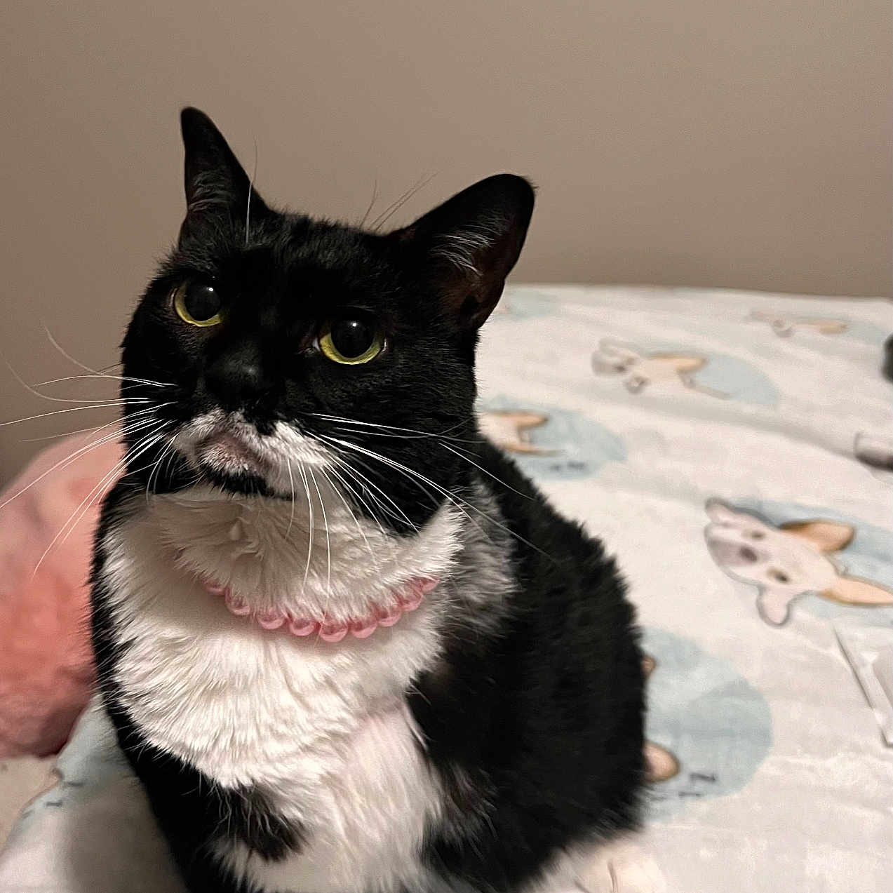 Tuna