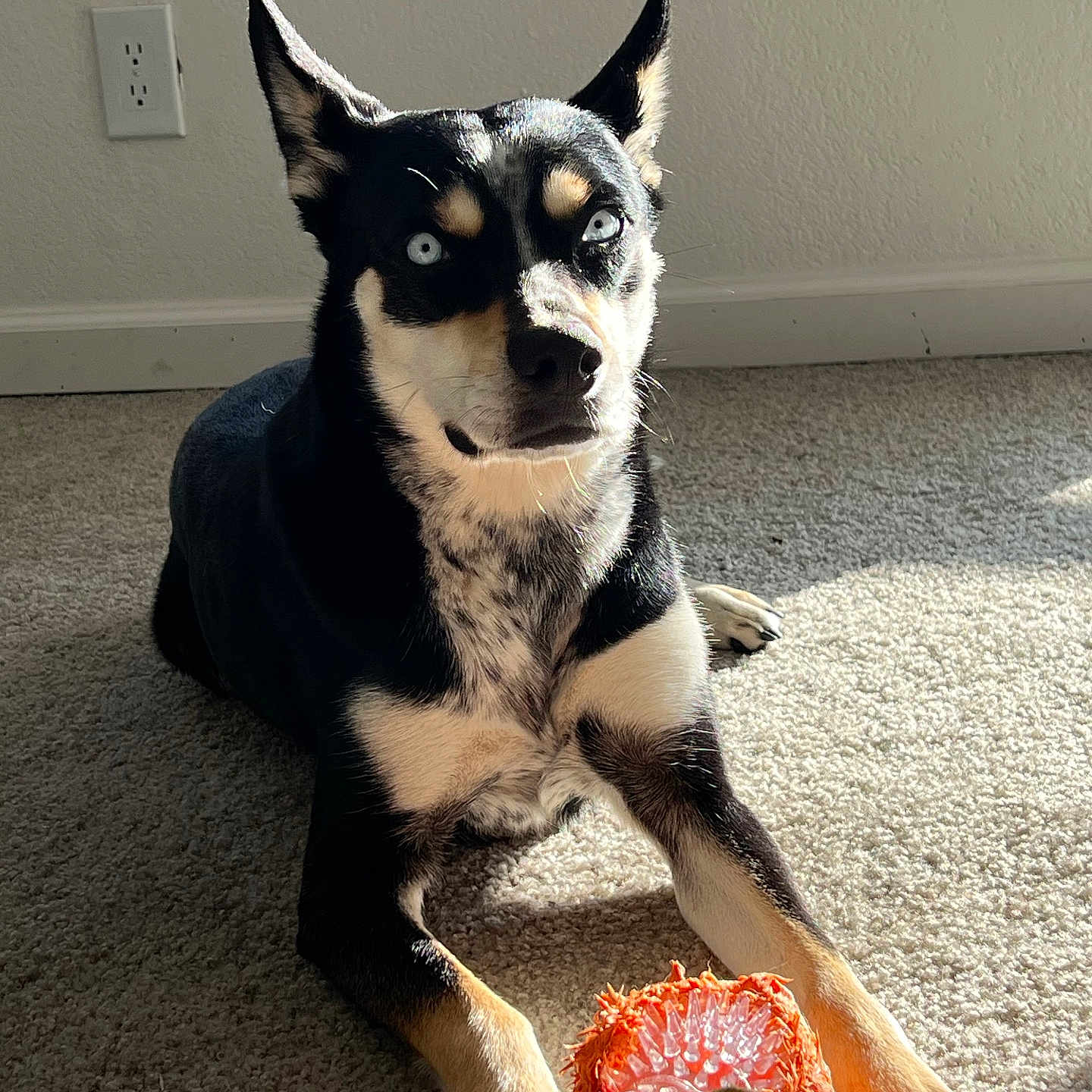 Zero