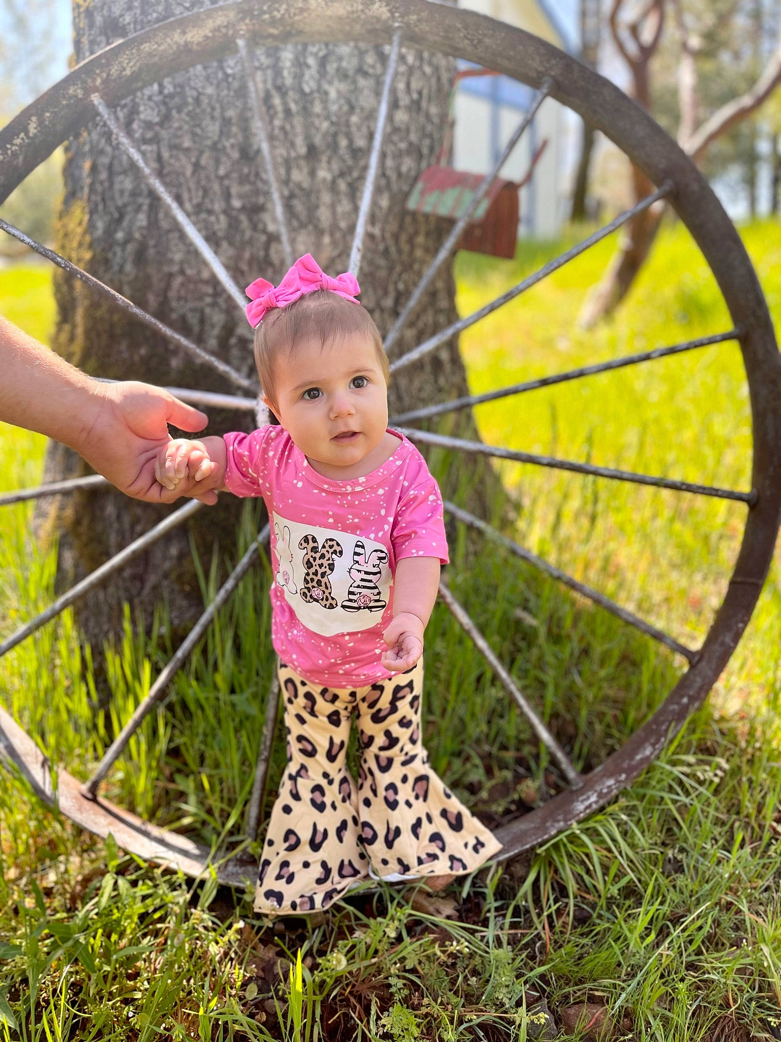 Aubrey joined the competition — help win amazing prizes! automotive_wheel_system, bicycle_part, bicycle_tire, circle, fun, grass, grass_family, grassland, happy, leaf, leisure, mammal, people_in_nature, person, plant, rim, rural_area, spoke, tire, toddler