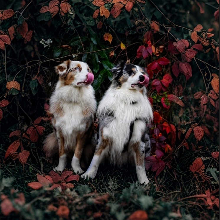 Ryder Et Naïto