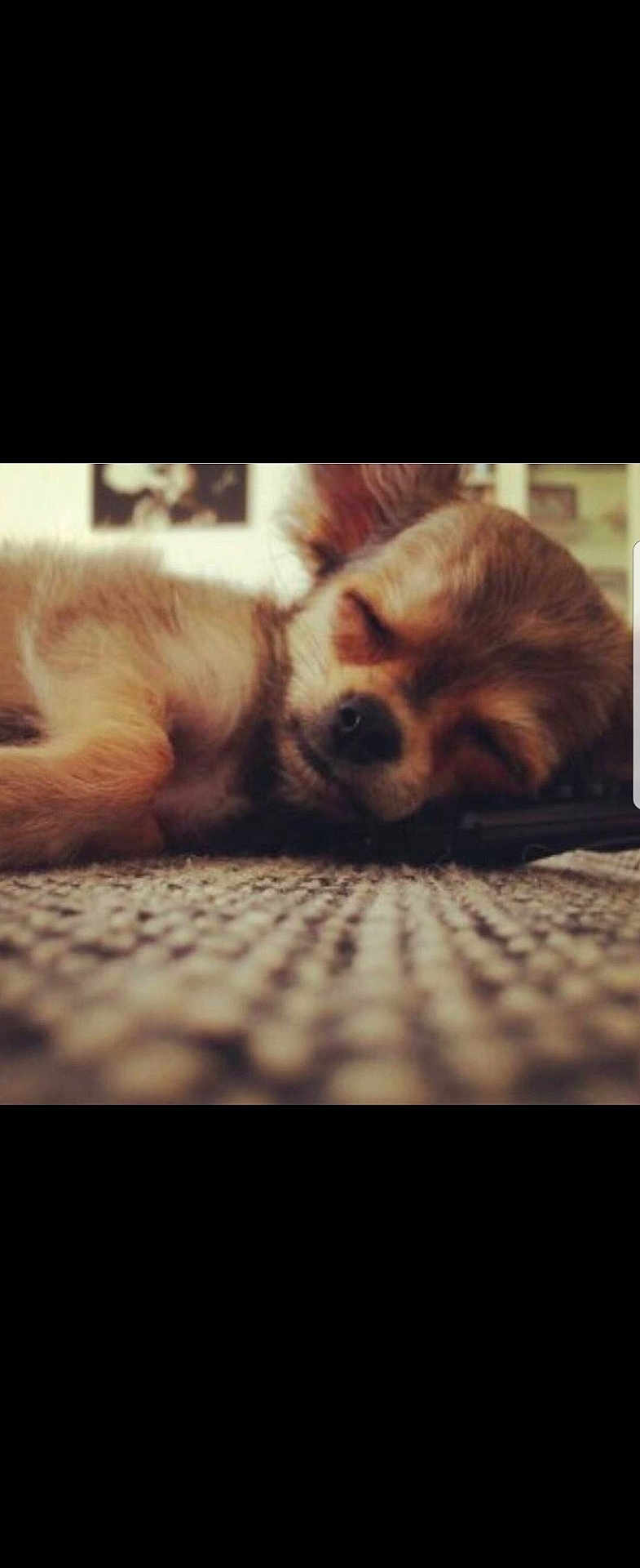 Milo