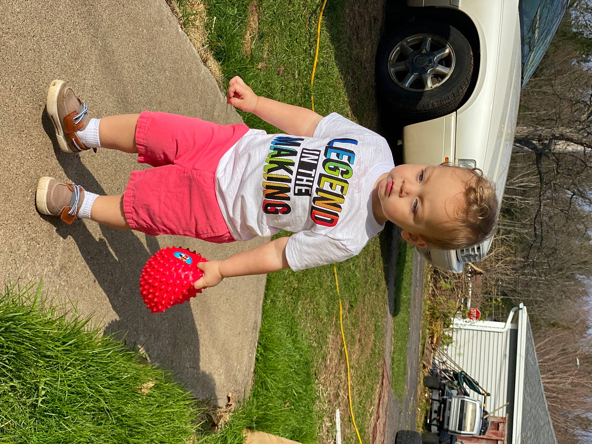 Milo joined the competition — help win amazing prizes! automotive_lighting, automotive_tire, car, fun, grass, human_leg, knee, leisure, person, plant, recreation, shoe, sneakers, sportswear, thigh, tire, tree, vehicle_door, walking_shoe, wheel