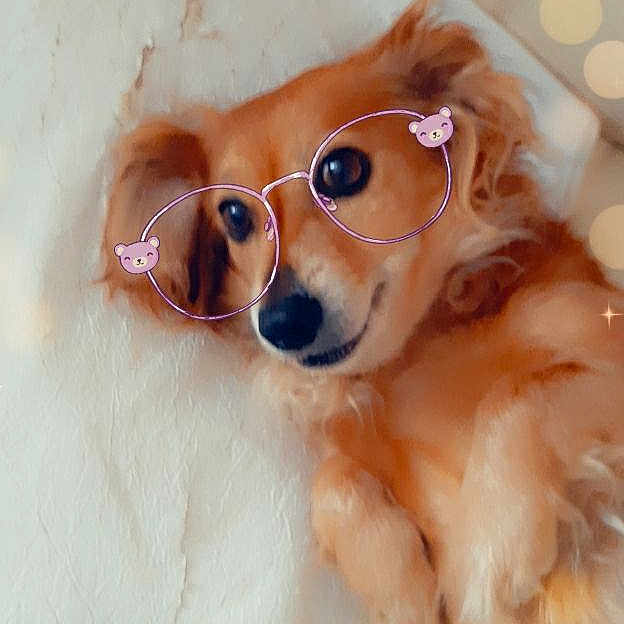 Câline