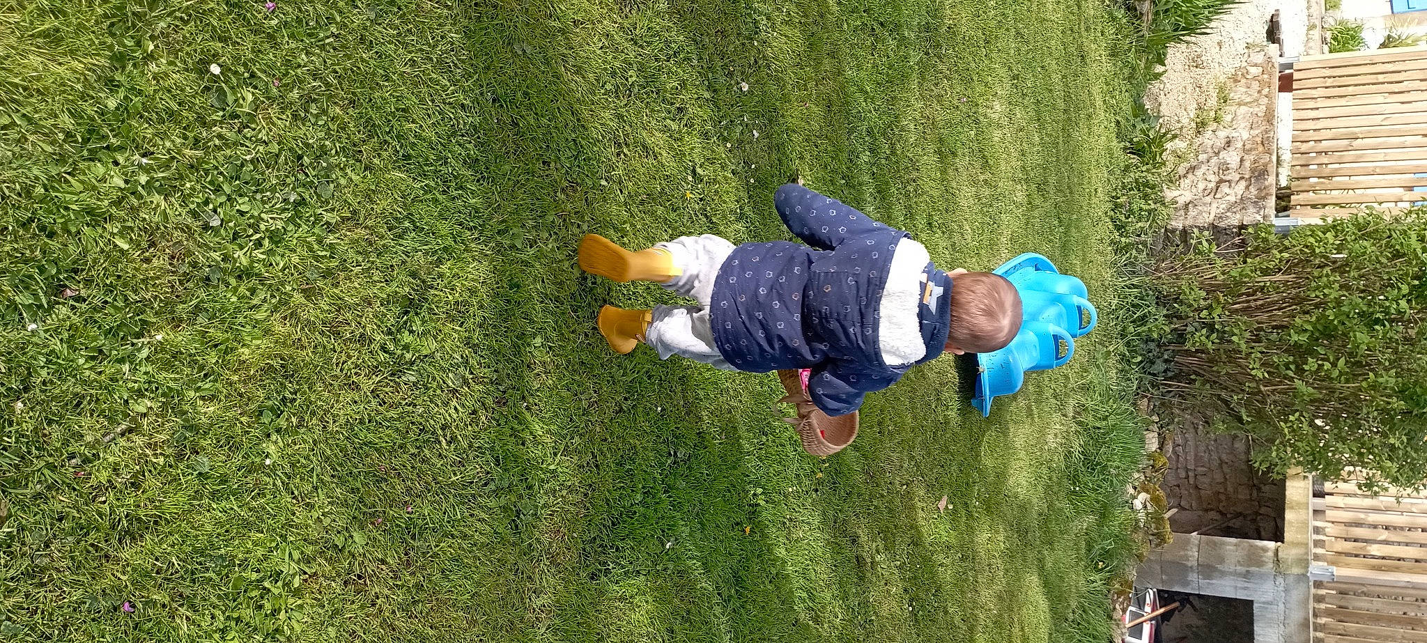 Mattéïs participe au concours pour gagner de l'argent avec cette photo : biome, child, denim, electric_blue, fun, grass, grass_family, grassland, groundcover, jeans, landscape, lawn, leisure, natural_environment, people_in_nature, person, plant, play, recreation, shrub