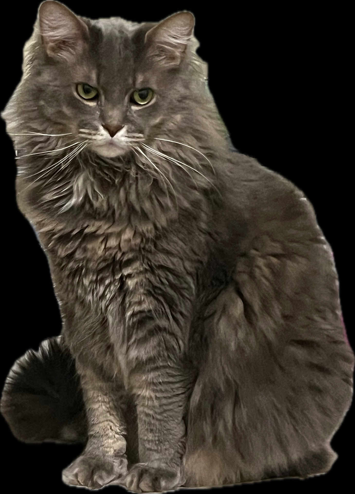 Max