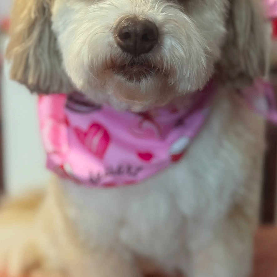 Coco