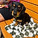Cooper