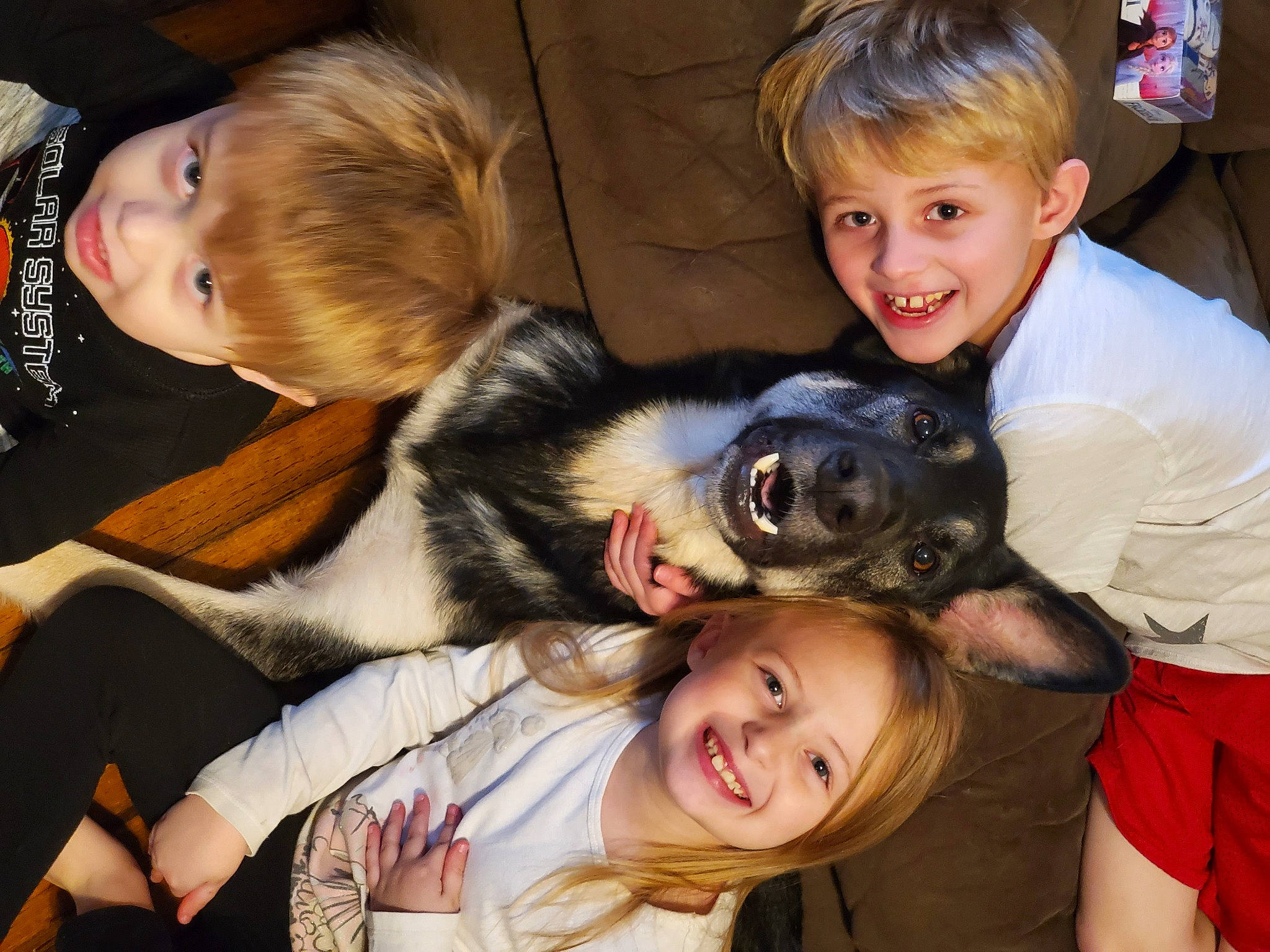 Minnie joined the competition — help win amazing prizes! carnivore, clothing, companion_dog, dog, dog_breed, eye, face, fawn, fun, hair, happy, head, iris, mammal, organ, photograph, skin, smile, toddler, vertebrate