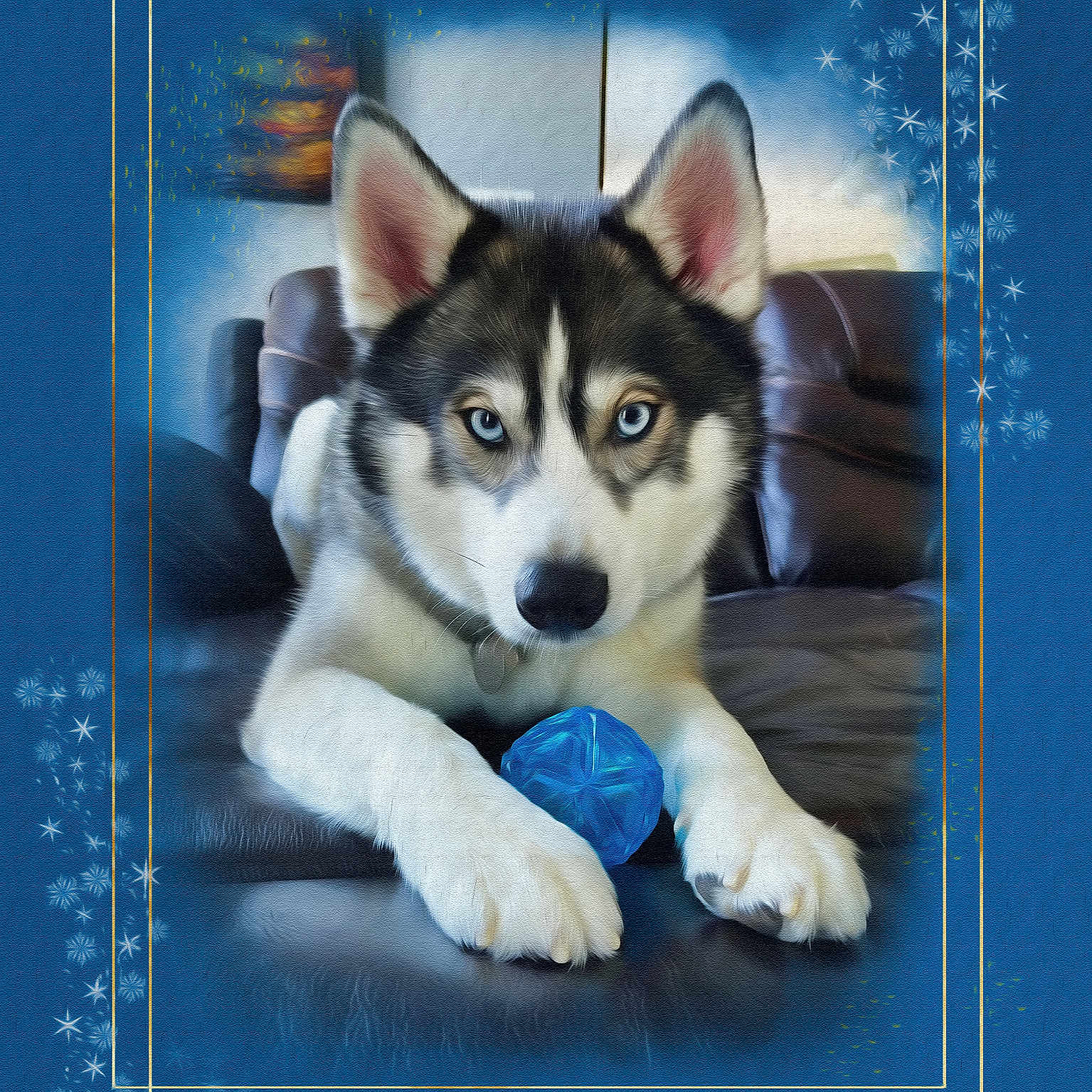 Harley joined the competition — help win amazing prizes! animal, ball, blue, blue_eyes, closeup, couch, decorative_frame, dog, ears, face, fur, home, husky, indoor, leather, paws, pet, portrait, relaxed, toy