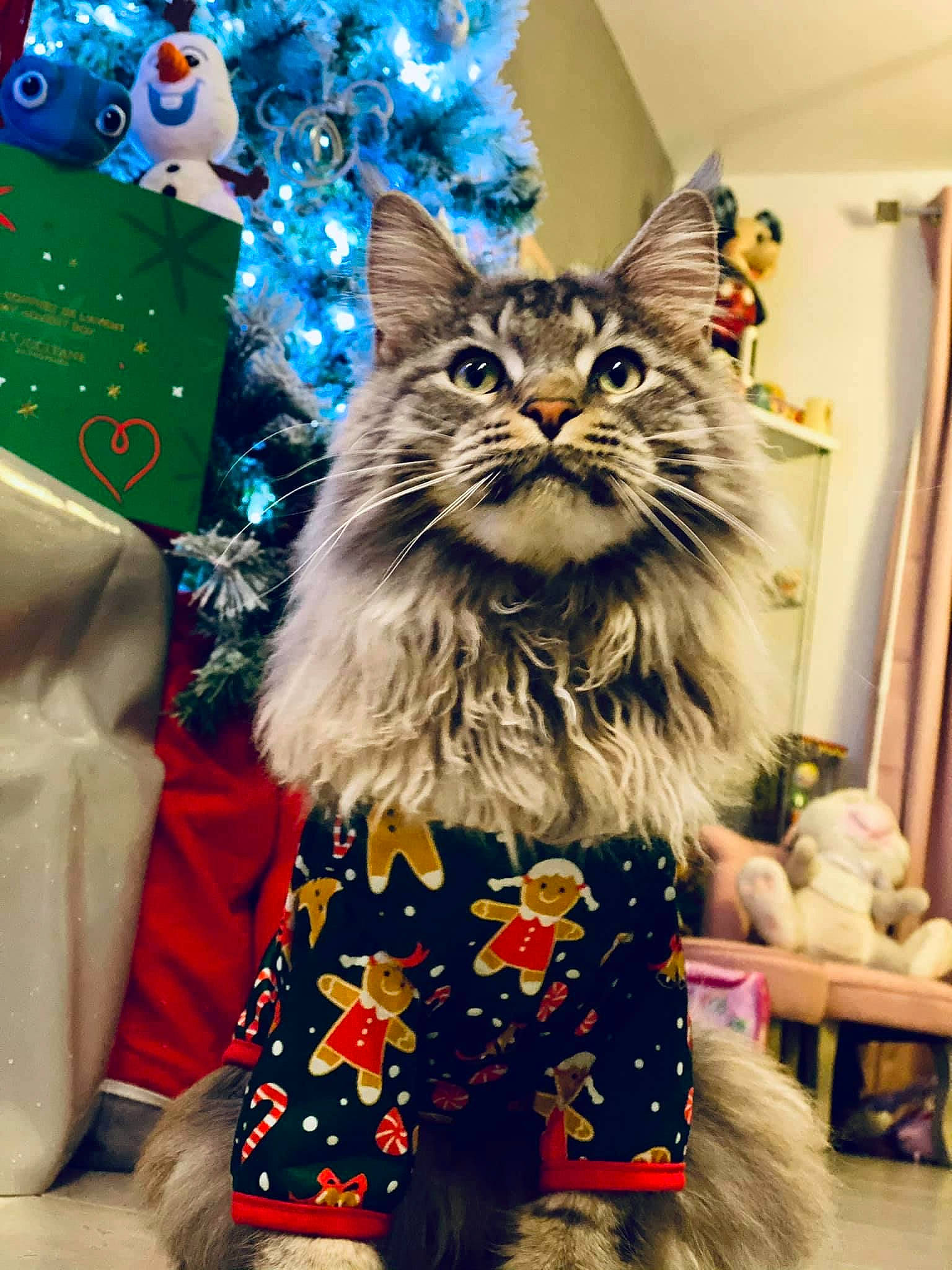 Ahtohallan a rejoint le concours — aidez-le/la à gagner de superbes lots ! blue, carnivore, cat, christmas, christmas_decoration, christmas_eve, christmas_ornament, curtain, electric_blue, event, felidae, fur, holiday, mammal, party_supply, pattern, small_to_medium_sized_cats, snapshot, textile, whiskers