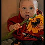 baby, child, sunflower, flower, red_hoodie, curious, surprised, indoor, person, cute, expression, hand, plant, nature, face, young, sitting, clothing, bright, portrait