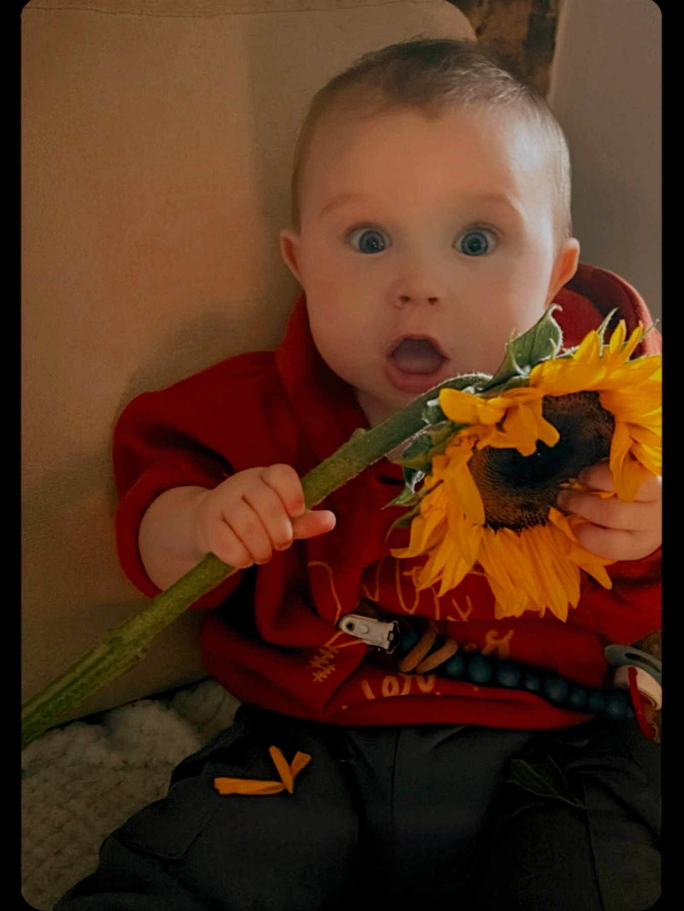 Frank is registered to the contest to win money with this photo: baby, child, sunflower, flower, red_hoodie, curious, surprised, indoor, person, cute, expression, hand, plant, nature, face, young, sitting, clothing, bright, portrait