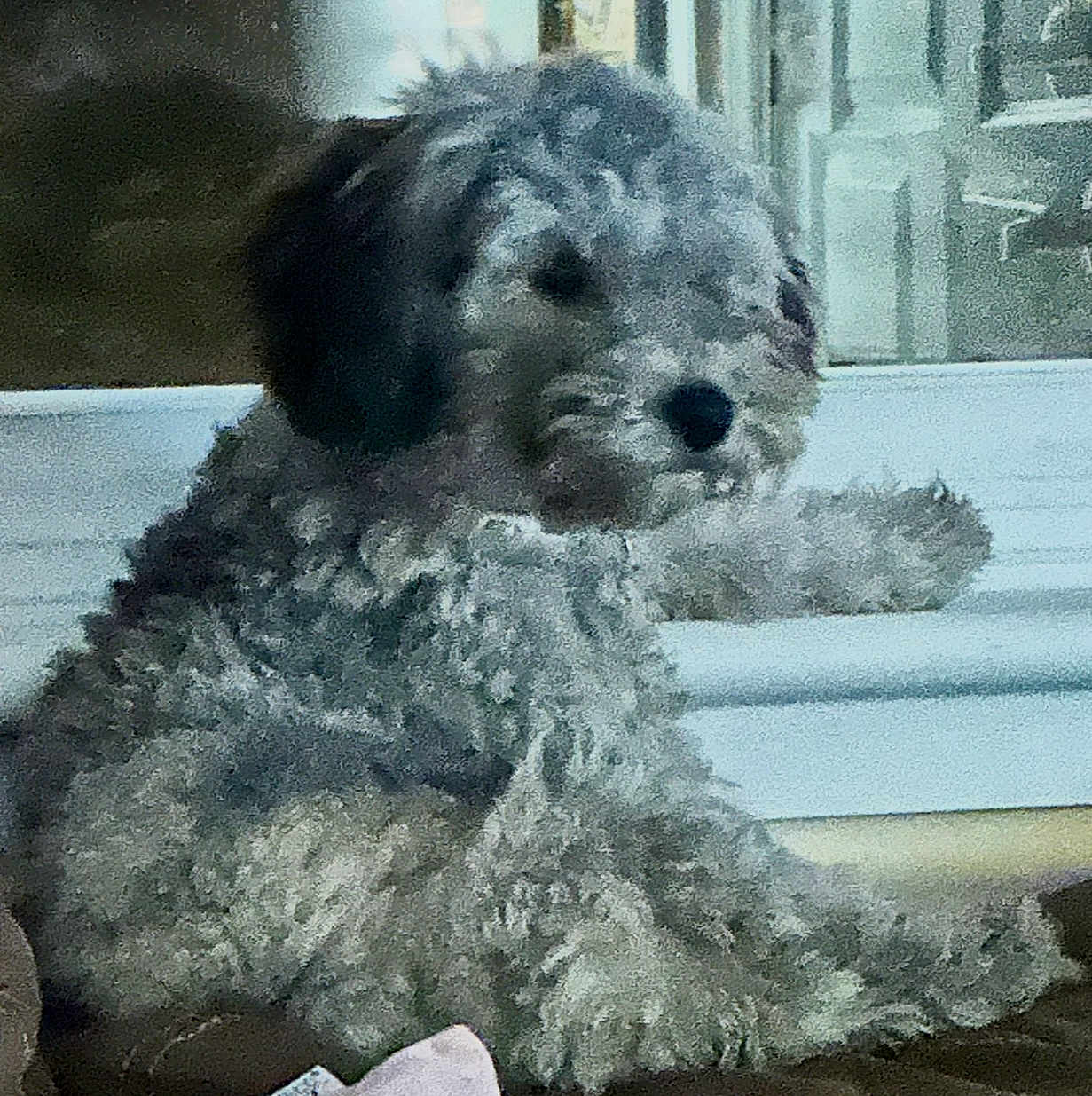 Pepper