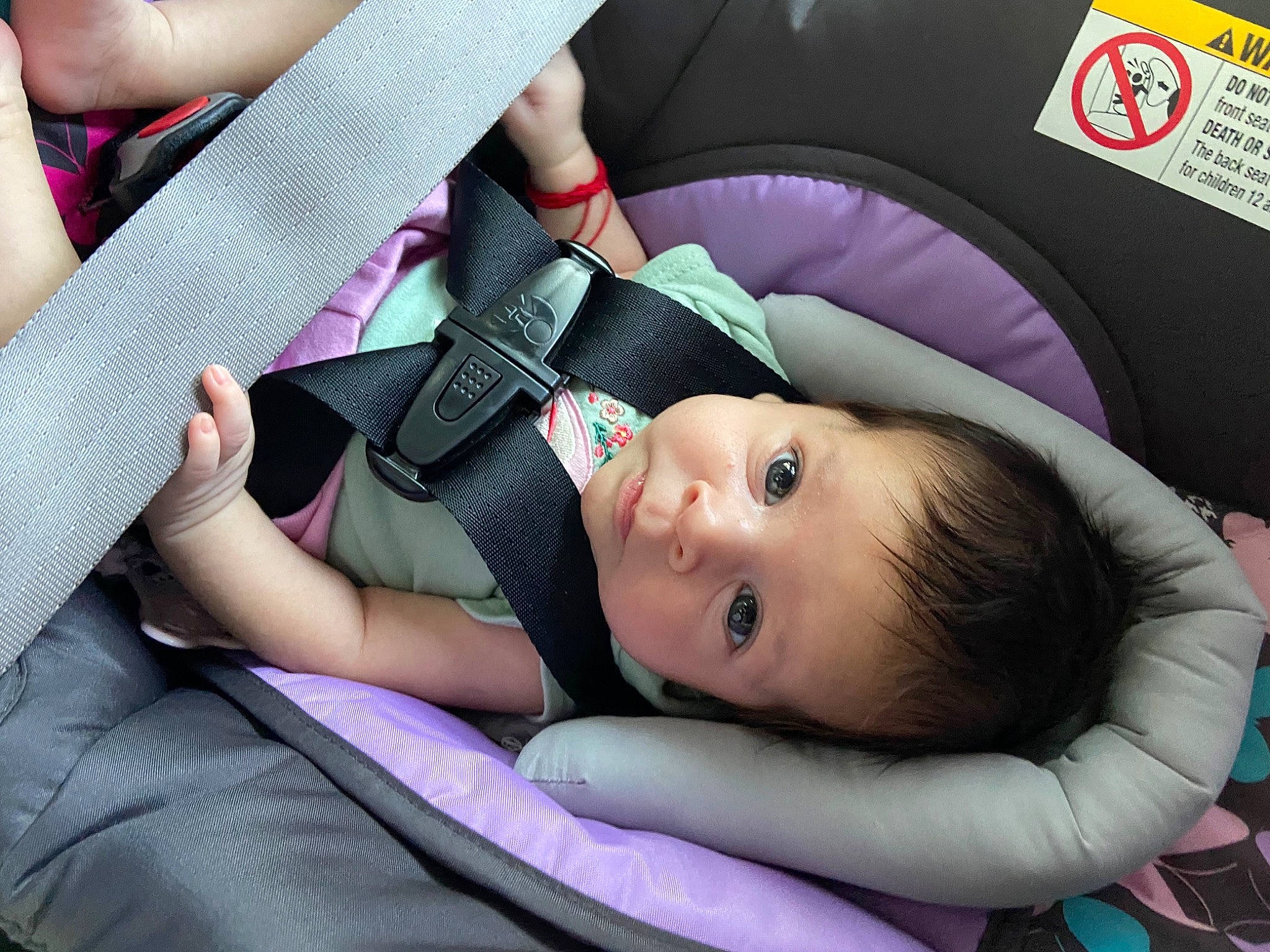 Maribel is registered to the contest to win money with this photo: auto_part, baby, baby_carriage, baby_in_car_seat, baby_products, baby_toddler_clothing, car_seat, child, comfort, fashion_accessory, finger, gesture, grass, mammal, person, pink, purple, seat_belt, skin, toddler