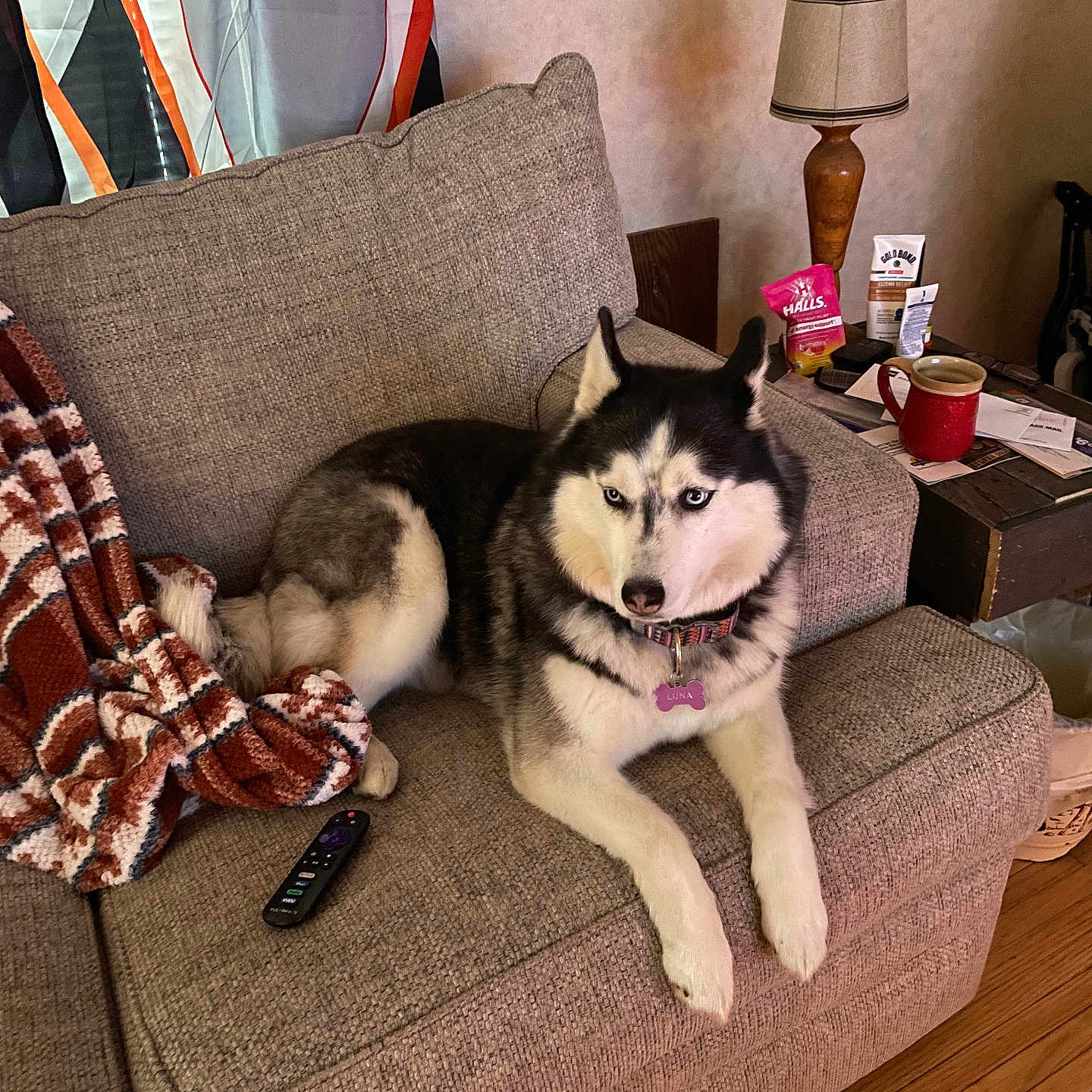 Luna