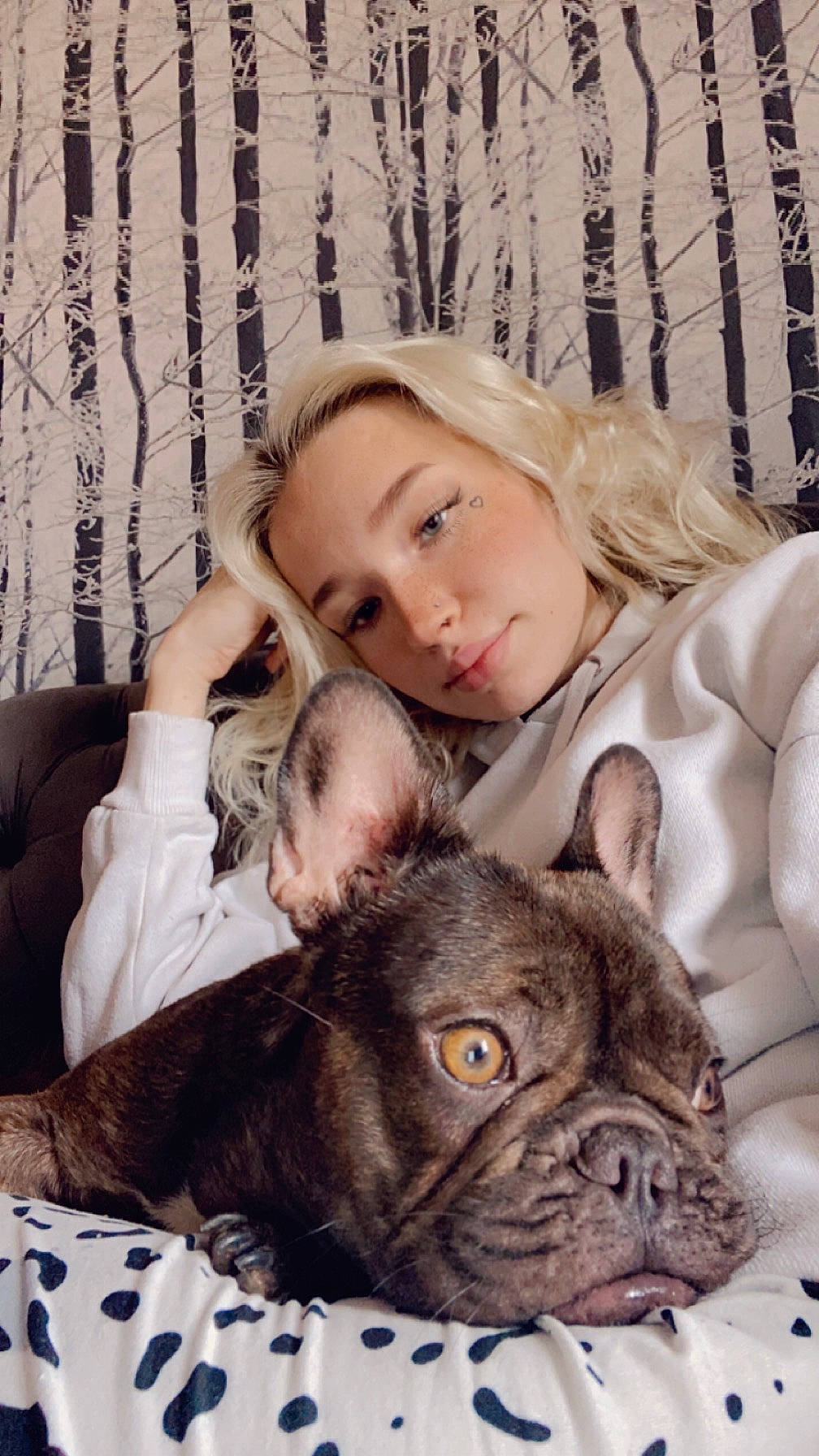 Dior joined the competition — help win amazing prizes! bulldog, carnivore, comfort, companion_dog, dog, dog_breed, ear, eye, fawn, french_bulldog, fur, hair, happy, head, skin, snout, toy_dog, whiskers, working_animal, wrinkle