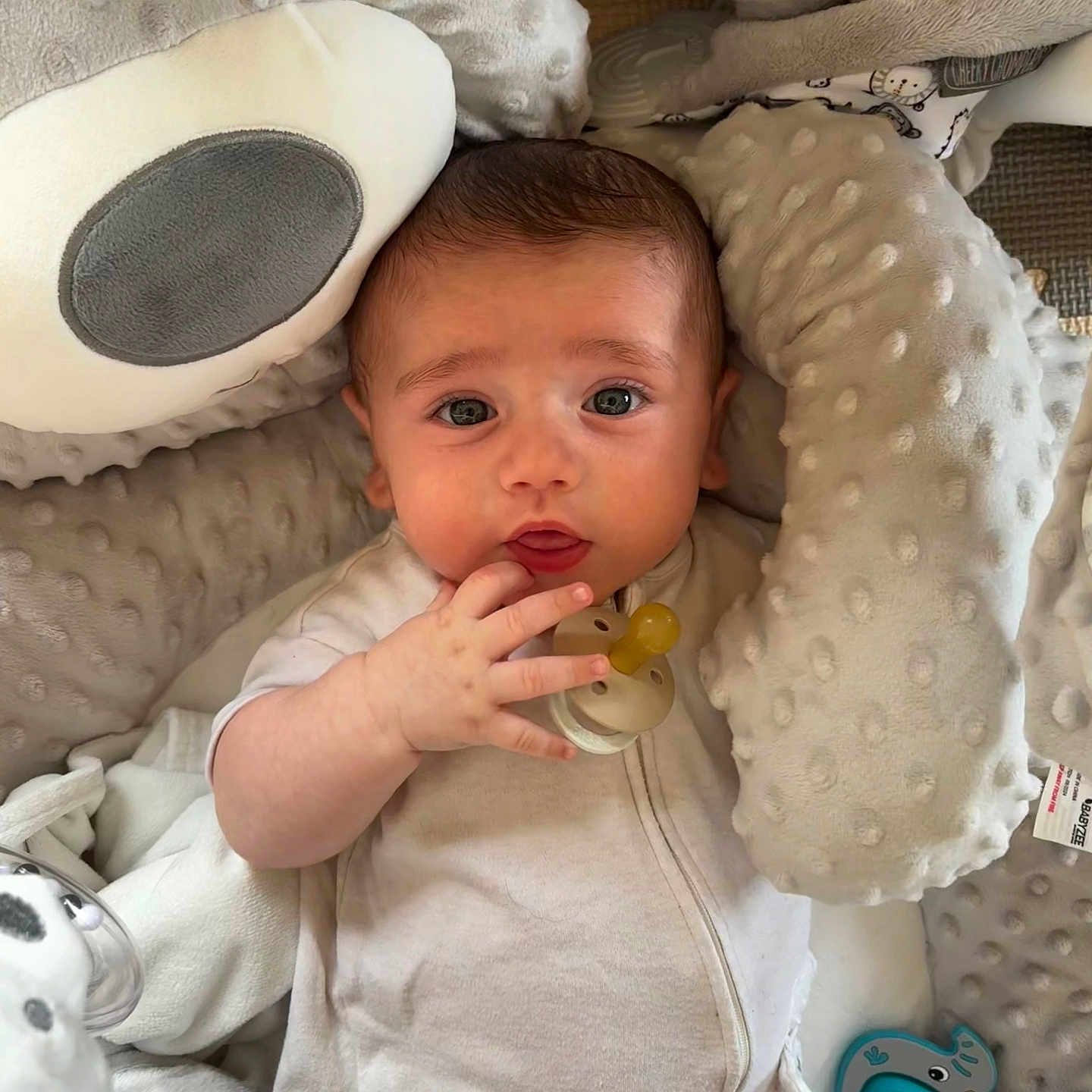 Bugsy joined the competition — help win amazing prizes! baby, bed, biting, blanket, bodypart, clothing, couch, crib, cushion, face, furniture, hat, head, homedecor, infantbed, newborn, person, photography, portrait, t_shirt