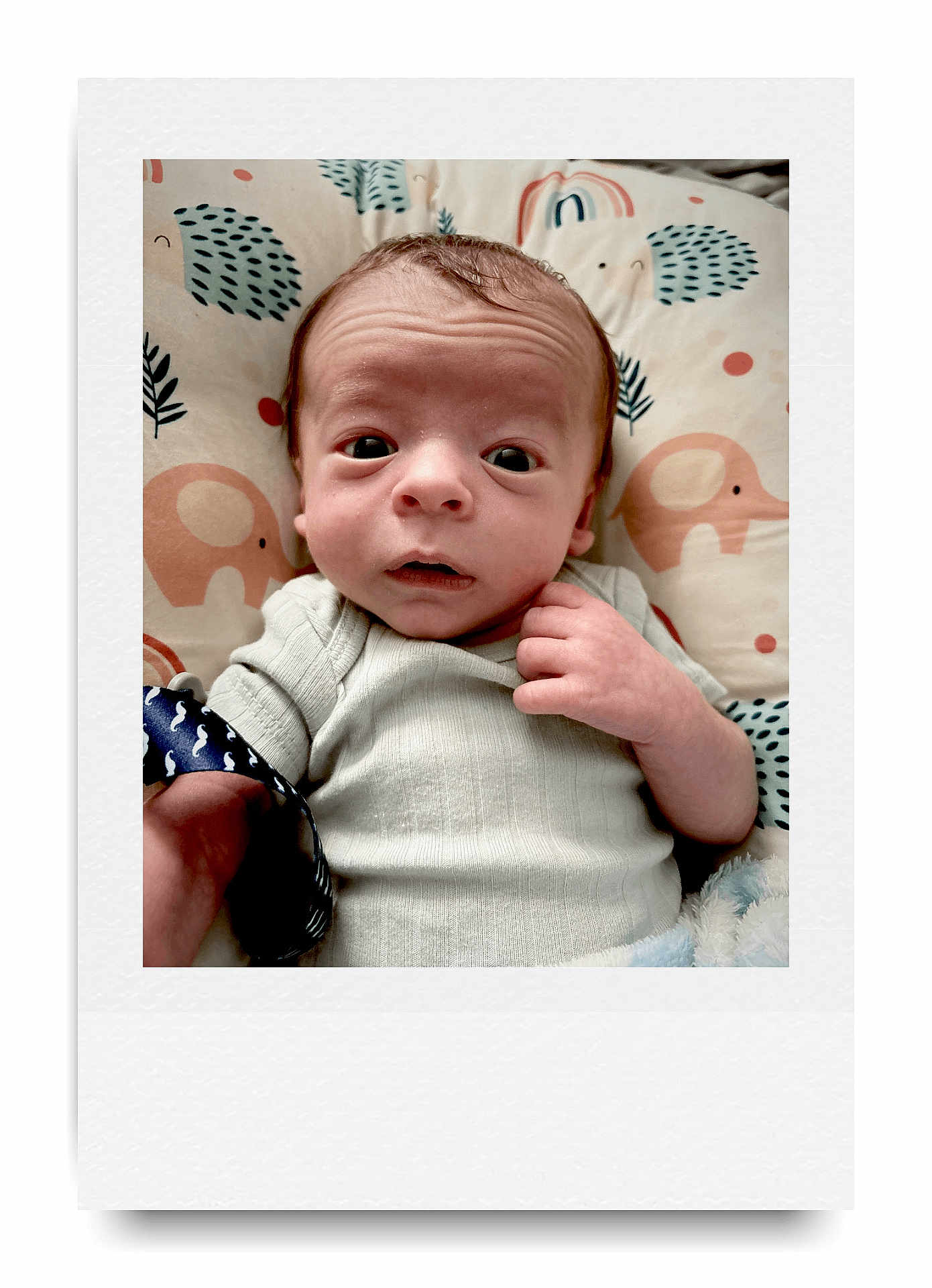 Elias