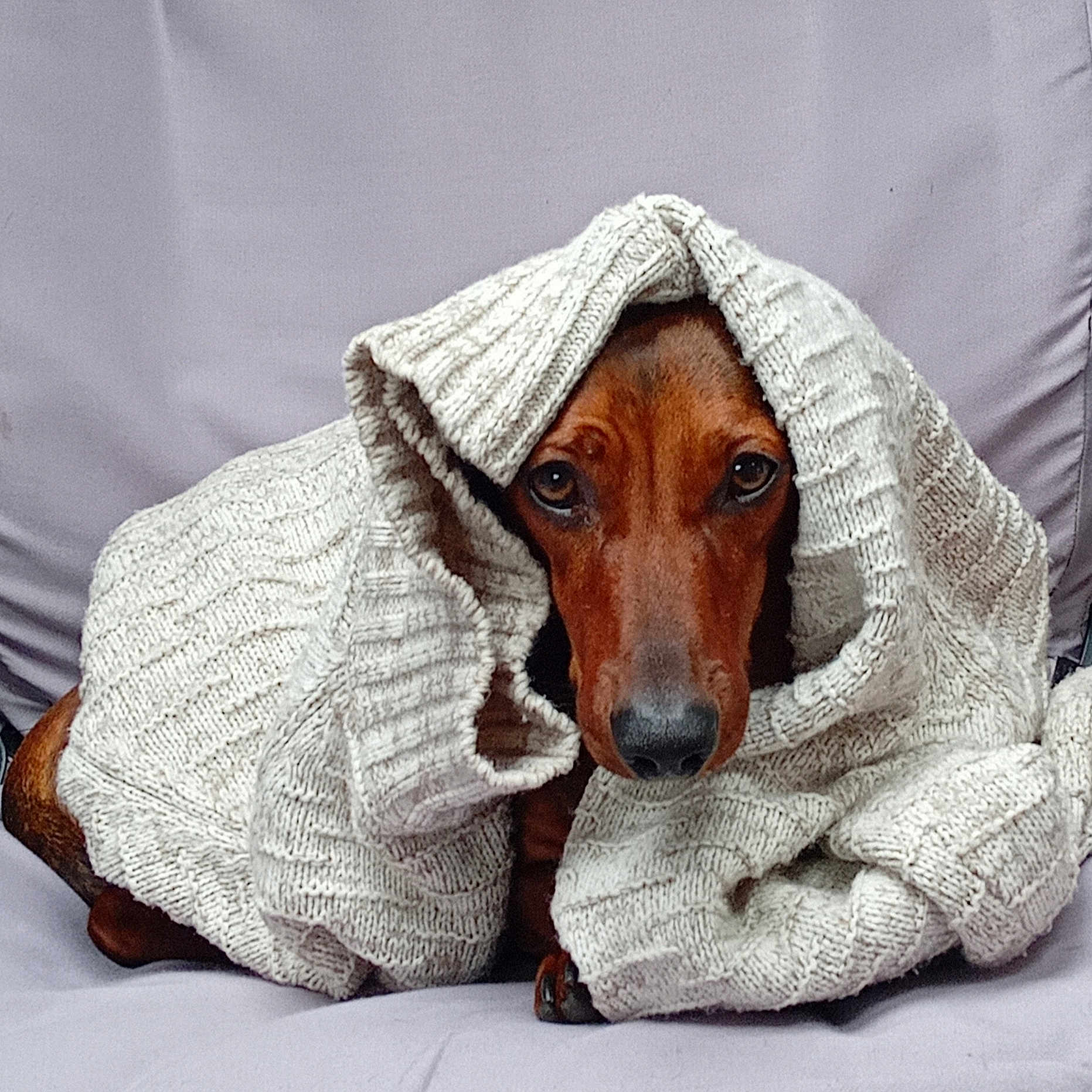 Viktor