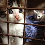 Michael is registered to the contest to win money with this photo: