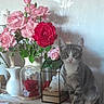 cat, kitten, flower, roses, bouquet, vase, table, indoor, pet, animal, plant, decor, curious, grey_cat, white_cat, feline, still_life, shadow, leaf, nature