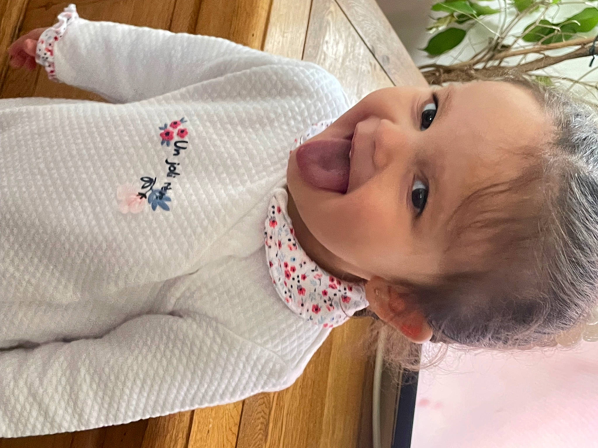 Lila a rejoint le concours — aidez-le/la à gagner de superbes lots ! baby, baby_toddler_clothing, cheek, child, chin, collar, comfort, dress_shirt, eyelash, facial_expression, happy, joy, lip, nose, person, plant, skin, sleeve, smile, toddler