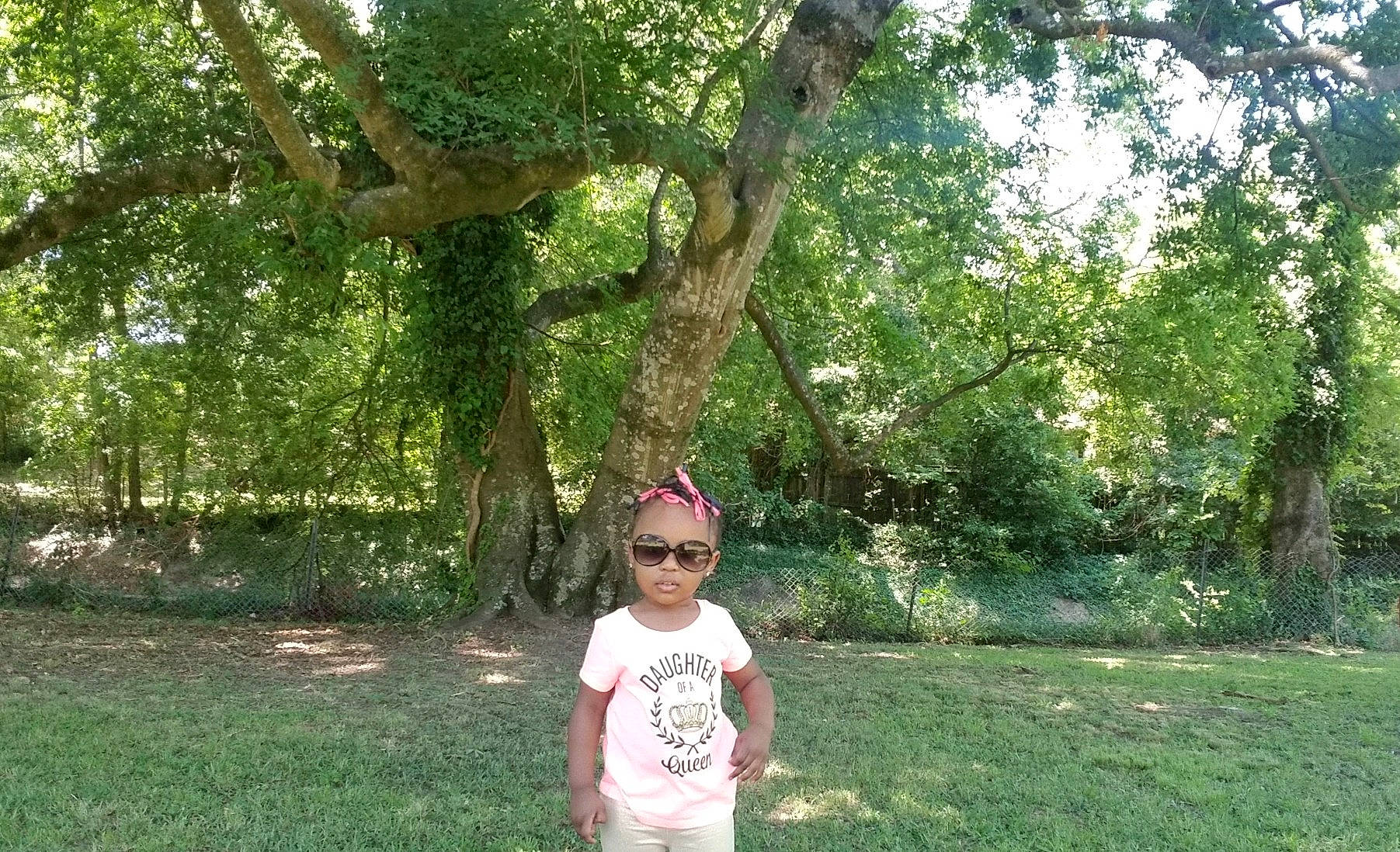 Kiara is registered to the contest to win money with this photo: backyard, branch, fashion_accessory, garden, goggles, grass, lawn, leaf, meadow, park, people_in_nature, person, shade, spring, sunglasses, sunlight, tree, trunk, woodland, woody_plant