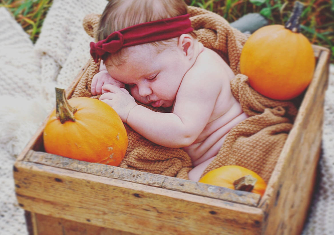 Payslee joined the competition — help win amazing prizes! baby, basket, calabaza, child, cucurbita, food, fruit, gourd, person, plant, pumpkin, squash, toddler, vegetable, wicker, winter_squash
