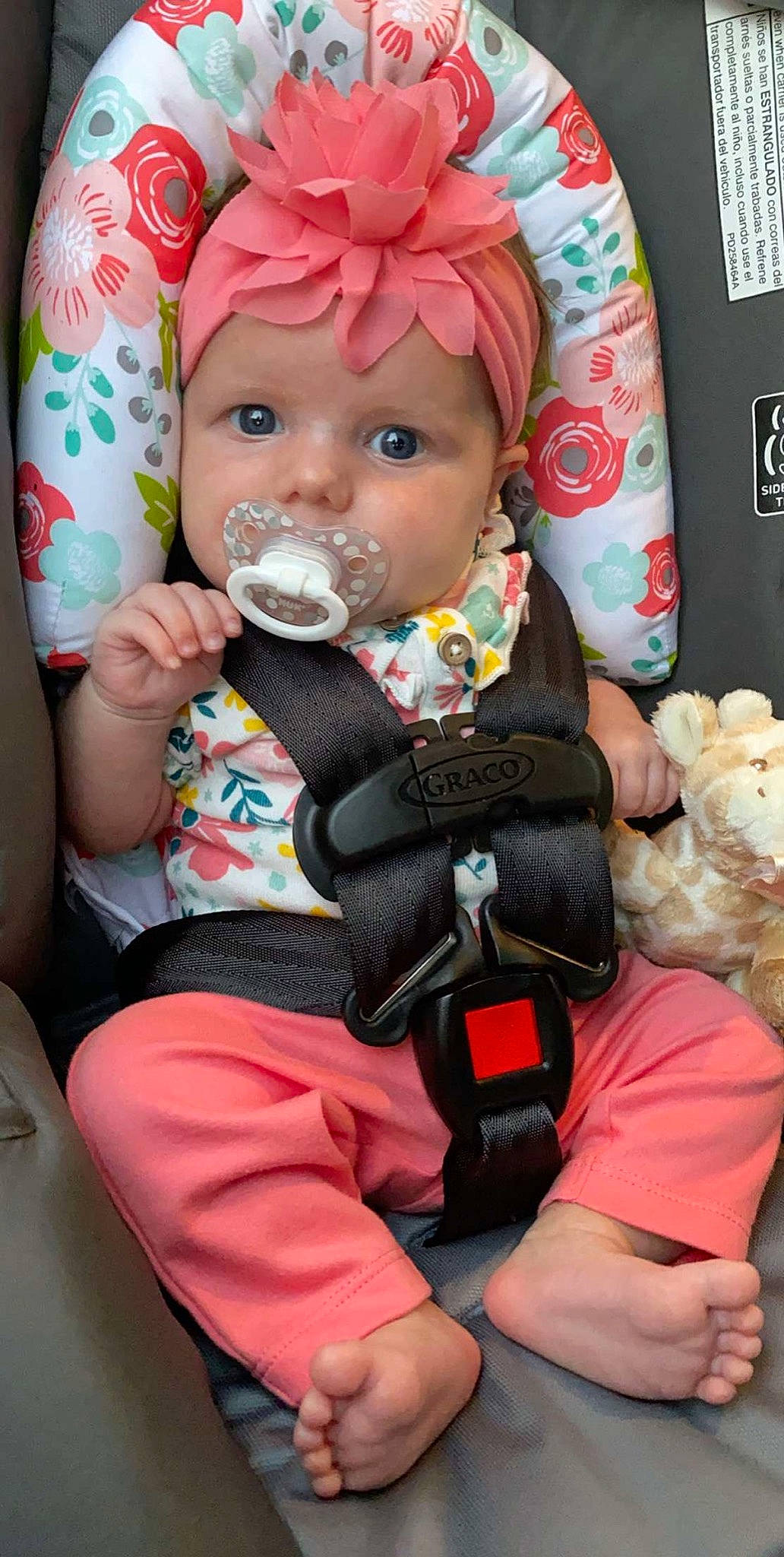 Payslee joined the competition — help win amazing prizes! baby, baby_products, car_seat, cheek, child, person, product, toddler