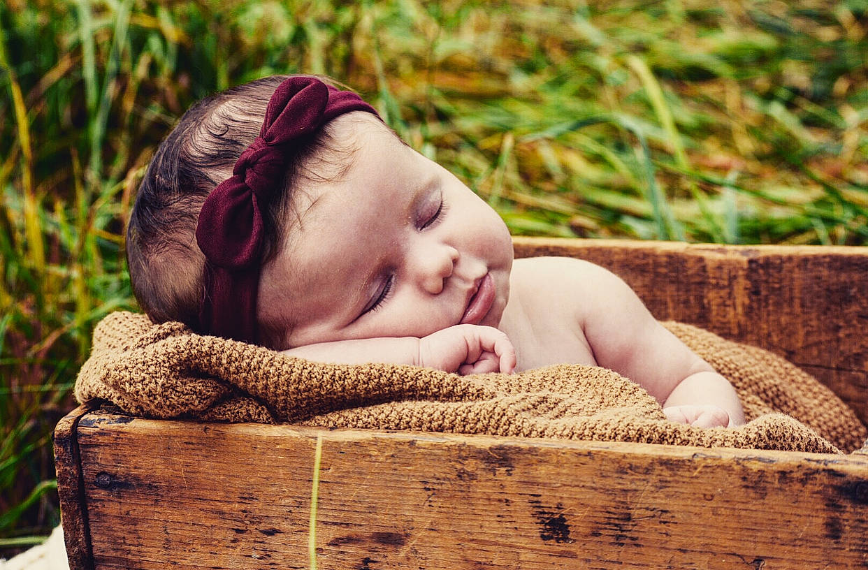 Payslee joined the competition — help win amazing prizes! baby, baby_sleeping, basket, beauty, cheek, child, eye, grass, headgear, leaf, nap, person, photograph, photography, plant, portrait_photography, product, skin, sleep, toddler