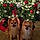 Tiny And Chewy