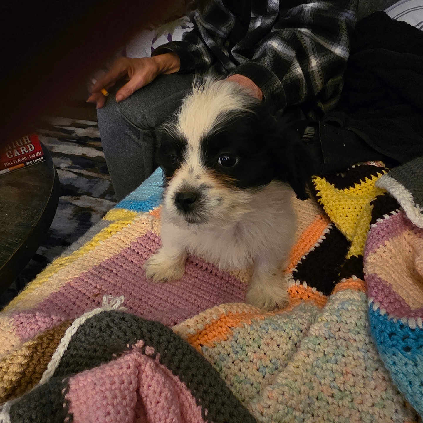 Milo