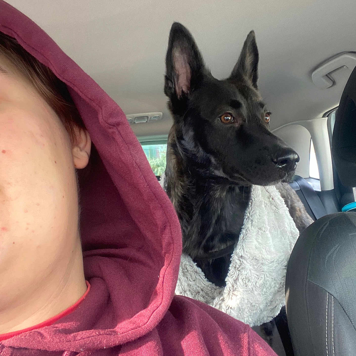 Tao participe au concours pour gagner de l'argent avec cette photo : adult, animal, canine, clothing, coat, cushion, dog, face, female, head, homedecor, hood, jacket, person, pet, photography, portrait, puppy, purple, woman