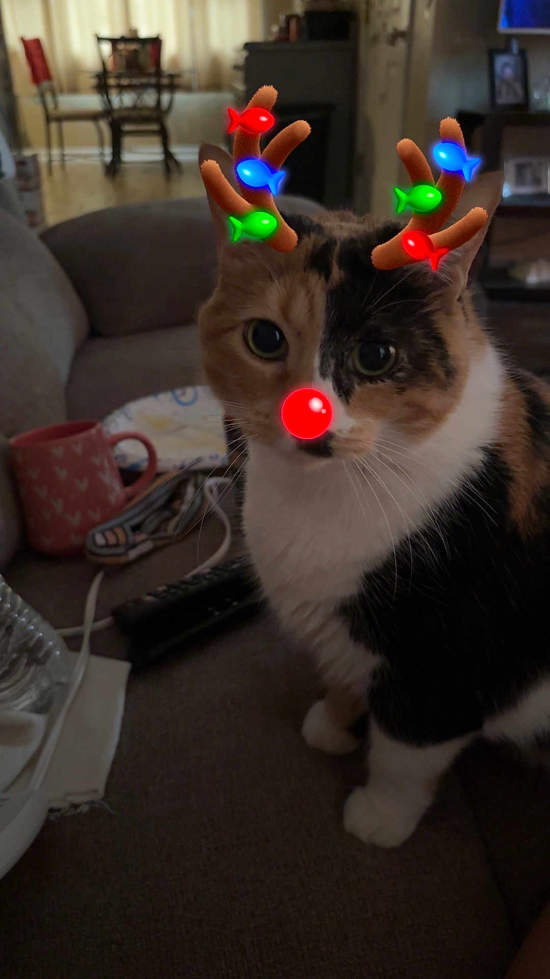 Katie is registered to the contest to win money with this photo: cat, calico, pet, animal, indoor, living_room, couch, remote_control, mug, decor, whiskers, fur, cute, domestic_cat, feline, antlers_filter, red_nose_filter, digital_filter, close_up, sitting