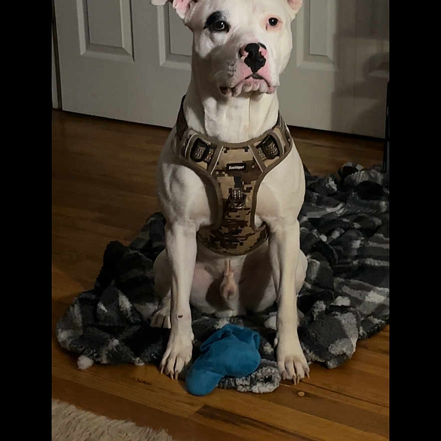 Patch