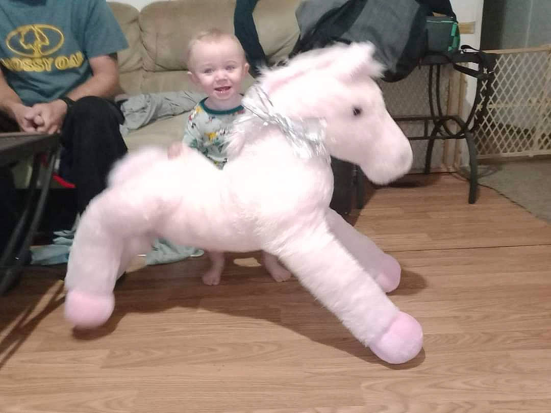 Athena is registered to the contest to win money with this photo: abdomen, baby, baby_toddler_clothing, barefoot, chair, comfort, companion_dog, dog_breed, event, flooring, foot, fur, hardwood, joy, laminate_flooring, lap, person, smile, t_shirt, toddler