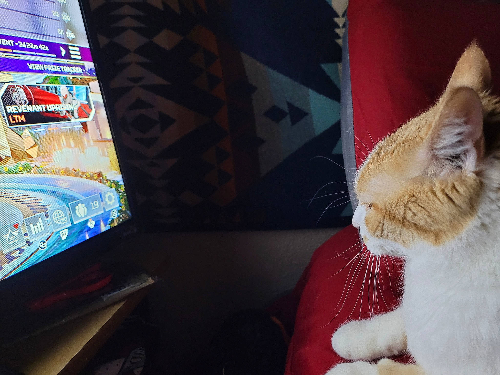 Cheese joined the competition — help win amazing prizes! carnivore, cat, comfort, display_device, domestic_short_haired_cat, fawn, felidae, fur, gamer, human_leg, lap, linens, machine, multimedia, paw, room, small_to_medium_sized_cats, tail, television_set, whiskers