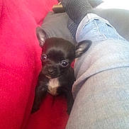 Louna participe au concours pour gagner de l'argent avec cette photo :
