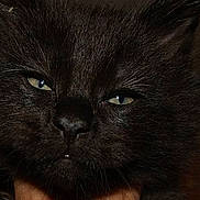 Igor participe au concours pour gagner de l'argent avec cette photo :
