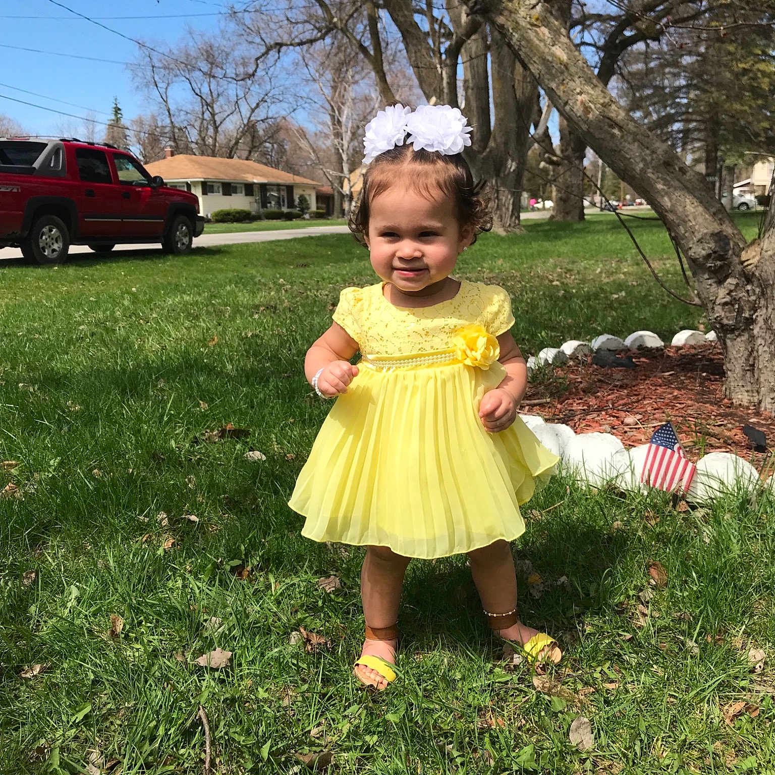 Cateleya is registered to the contest to win money with this photo: adaptation, car, child, dress, fawn, flower, fun, grass, happy, leaf, person, plant, smile, toddler, tree, vacation, vehicle, yellow