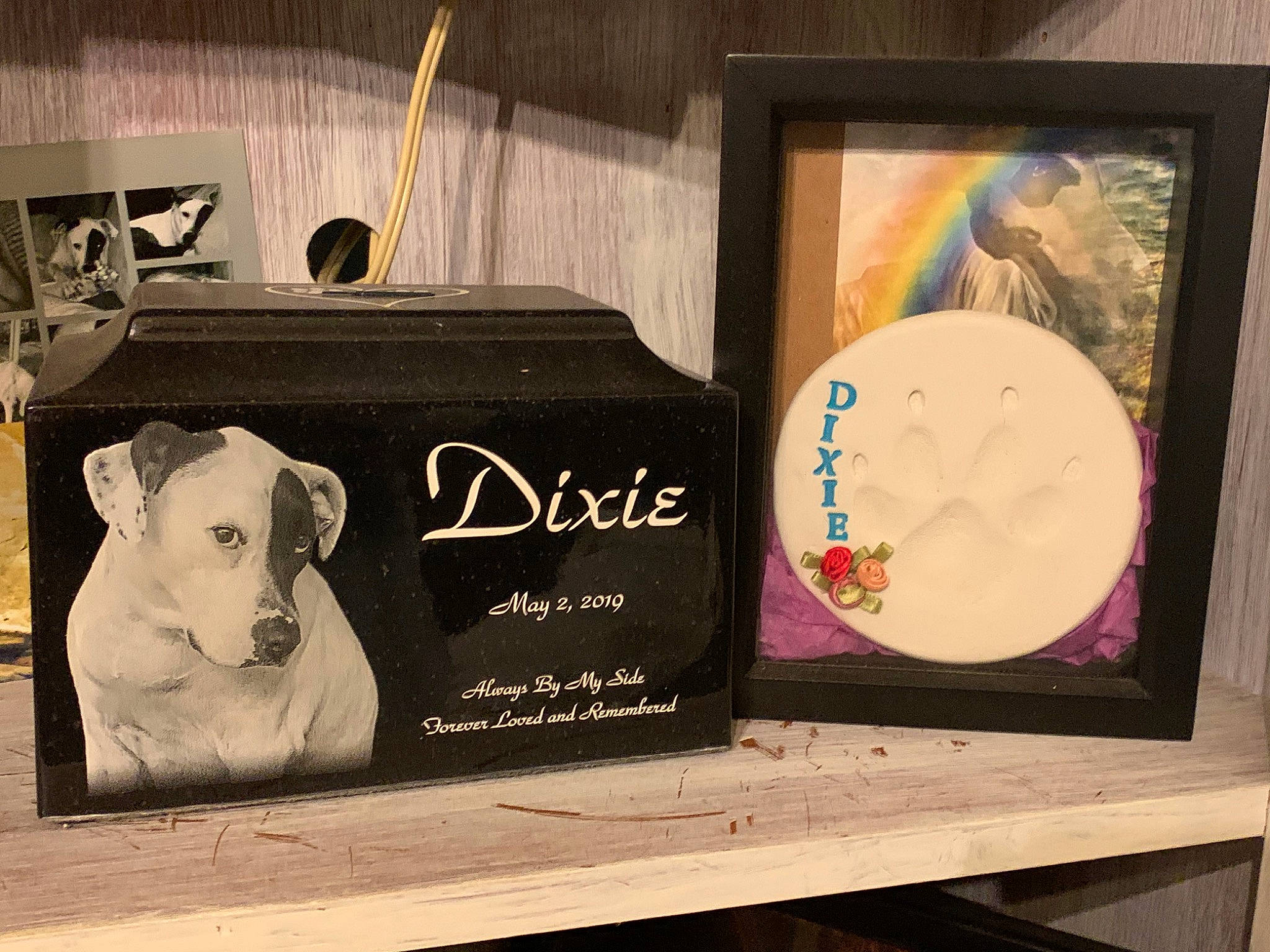 Dixie joined the competition — help win amazing prizes! advertising, art, book_cover, brand, cd, circle, data_storage_device, dog_breed, dvd, font, jewel_case, livestock, logo, packaging_and_labeling, publication, room, terrestrial_animal, visual_arts, wood, working_animal