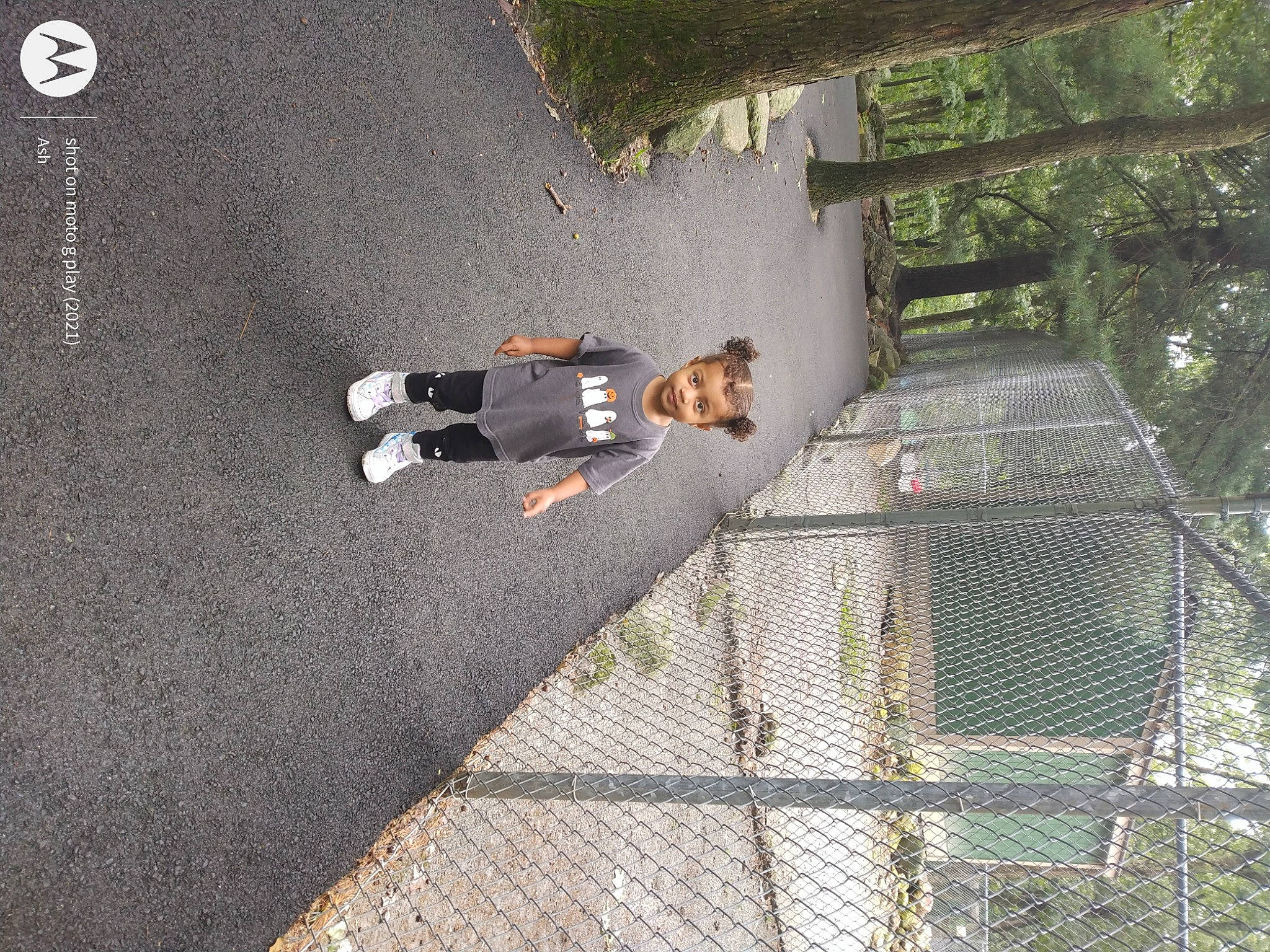 Autumn is registered to the contest to win money with this photo: asphalt, chain_link_fencing, concrete, fence, fun, grass, joy, leisure, mesh, pedestrian, person, plant, recreation, reflection, road, road_surface, shadow, sidewalk, tree, wire