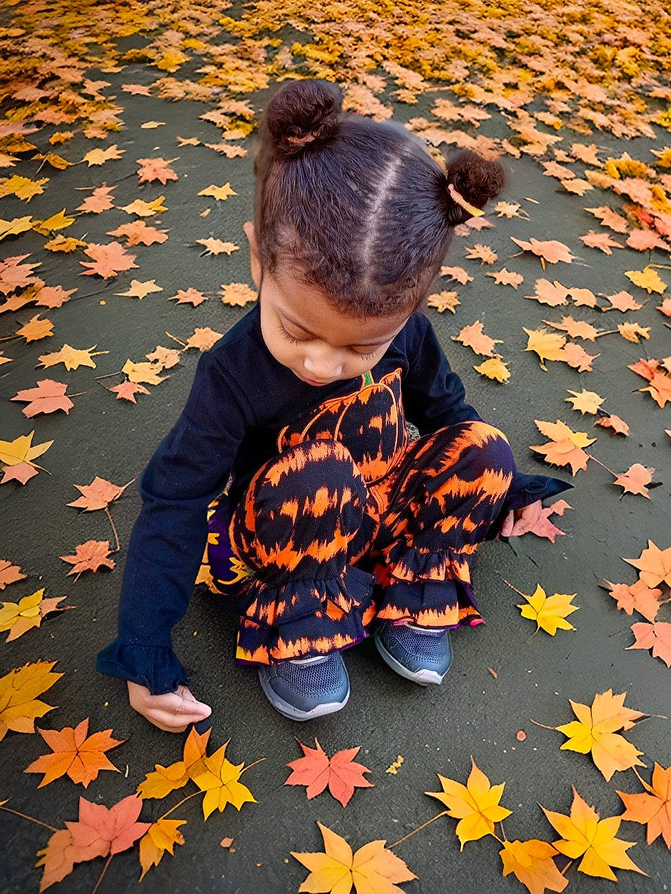 Autumn joined the competition — help win amazing prizes! adaptation, beauty, child, deciduous, design, flooring, grass, happy, leaf, light, nature, orange, pattern, people_in_nature, person, photograph, red, snapshot, tints_and_shades, toddler