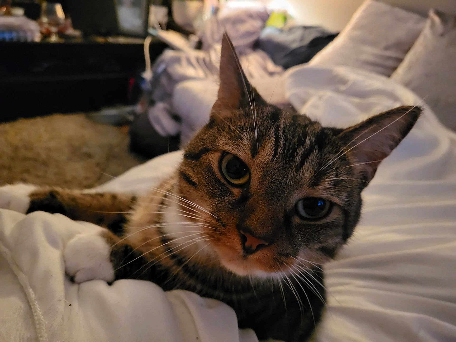 Tinkerbell