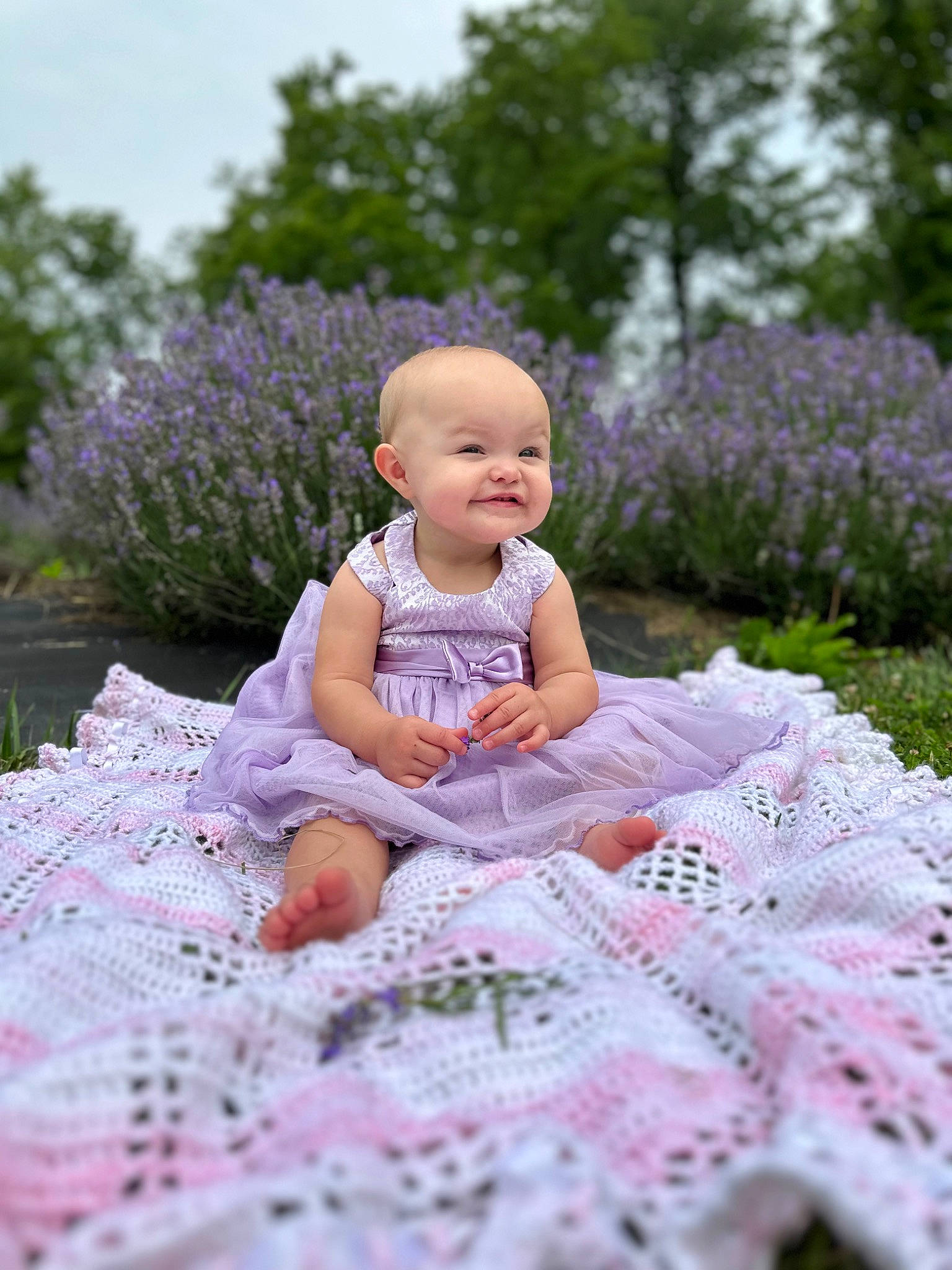 Alaina is registered to the contest to win money with this photo: baby, baby_toddler_clothing, botany, dress, flower, grass, grass_family, happy, leaf, leisure, magenta, people_in_nature, person, petal, pink, plant, purple, sky, textile, toddler