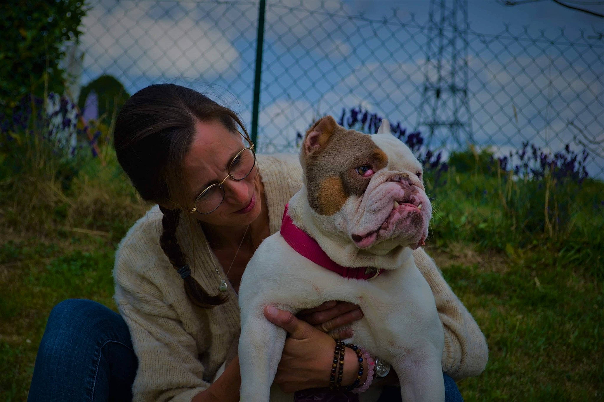 Maguy a rejoint le concours — aidez-le/la à gagner de superbes lots ! bulldog, carnivore, cloud, comfort, companion_dog, dog, dog_breed, fawn, fence, fun, grass, happy, leisure, mesh, plant, sky, smile, snout, tree, wire_fencing