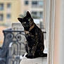 cat, tortoiseshell_cat, green_eyes, curious, sitting, head_tilt, ledges, balcony, outdoor, blurred_background, feline, pet, animal, cute, portrait, furry, whiskers, ears, daylight, close_up