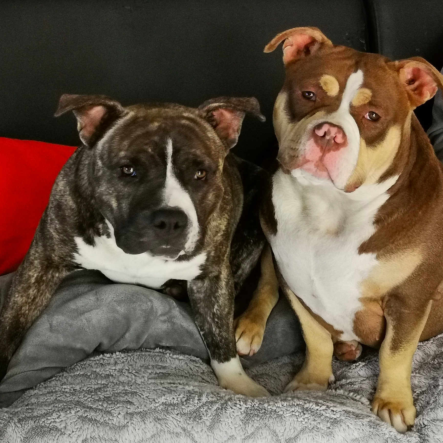 Zeus