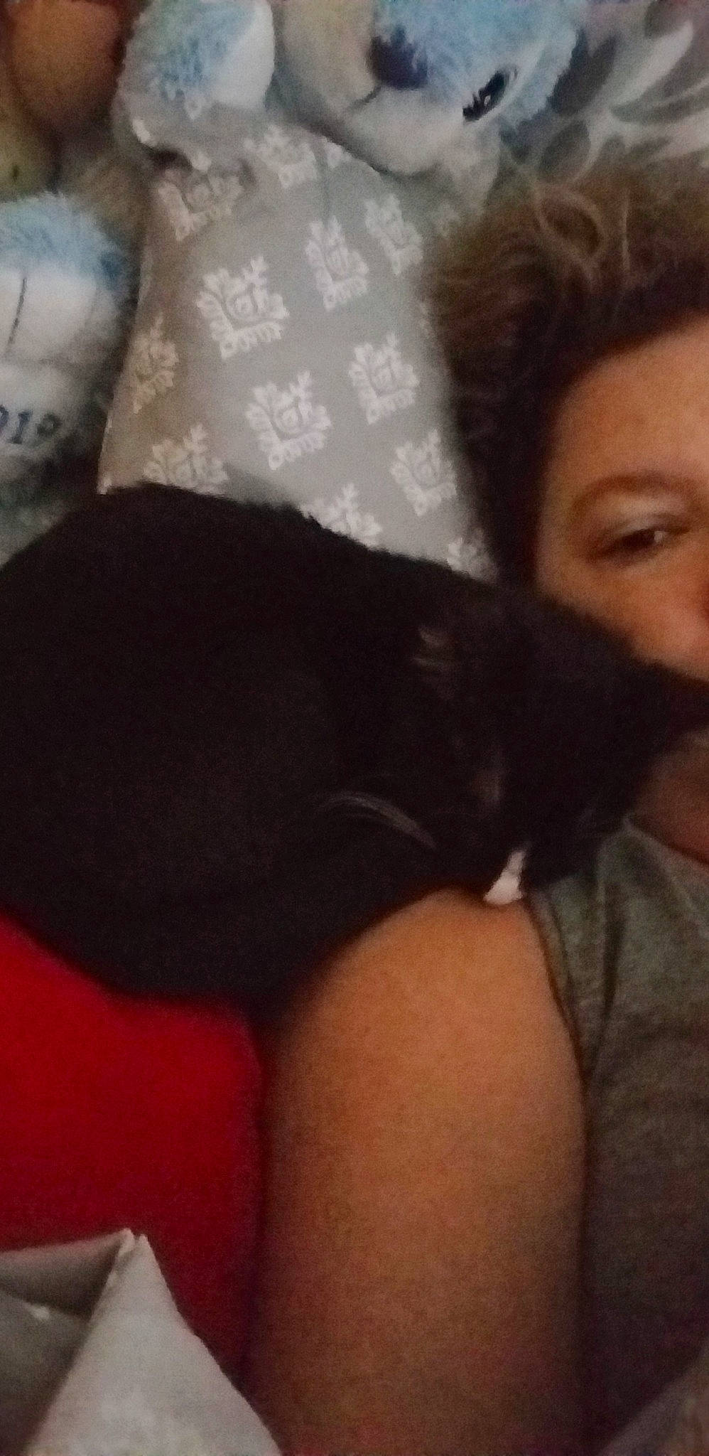 Luna is registered to the contest to win money with this photo: beauty, black_hair, brown_hair, face, finger, hair, hand, lady, leg, lip, long_hair, mouth, neck, nose, photography, selfie, smile, thigh, thumb